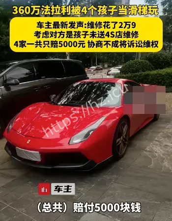 被熊孩子当滑梯玩