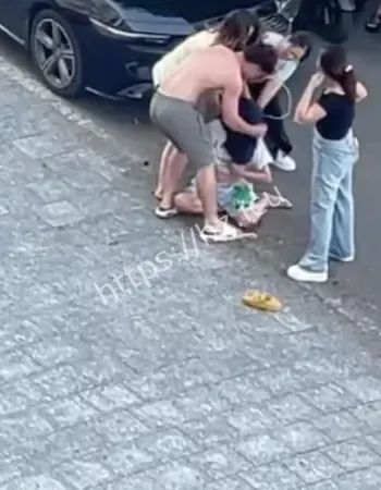 广东湛江