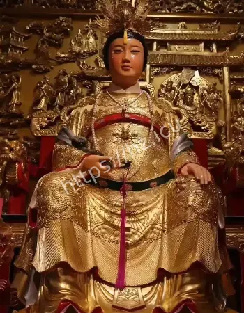 离奇失踪真相