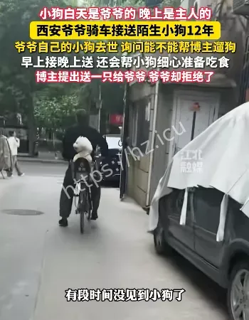 大爷遛狗12年