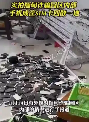 实拍电诈园区
