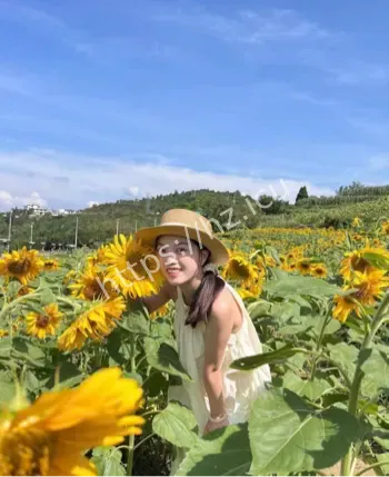 上海外语学院高材生