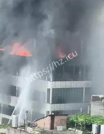 已致28人死亡
