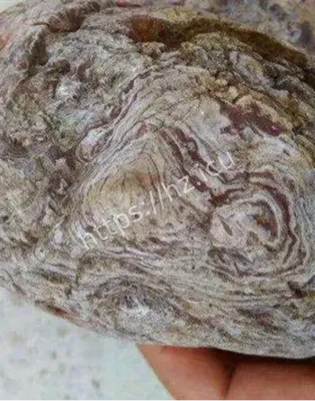 血玉灵石玄幻传闻辟谣