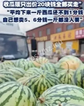 河南开封西瓜大面积滞销
