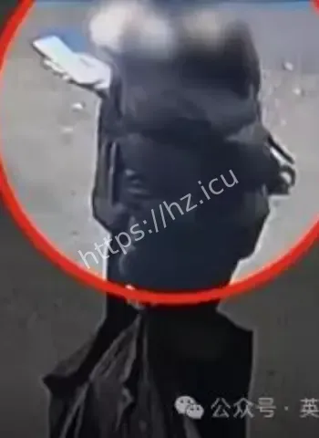 清纯脸蛋诱杀3男