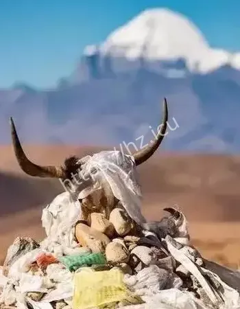 起源于西藏