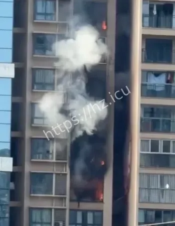 现场视频流出