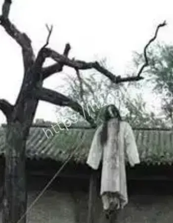 村民挖井