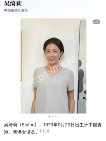 香港亚姐冠军黑历史