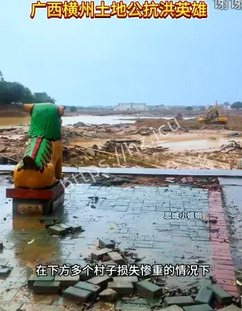 纹丝不动