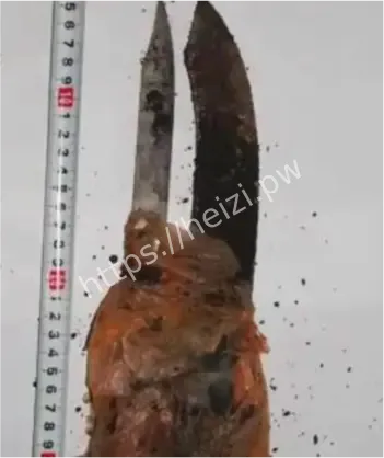 张永成失踪托梦寻尸真相