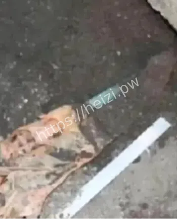 长白山情感纠纷杀人案