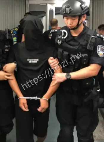 梦境擒凶央视纪实案件
