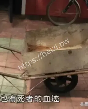 张永成失踪托梦寻尸真相