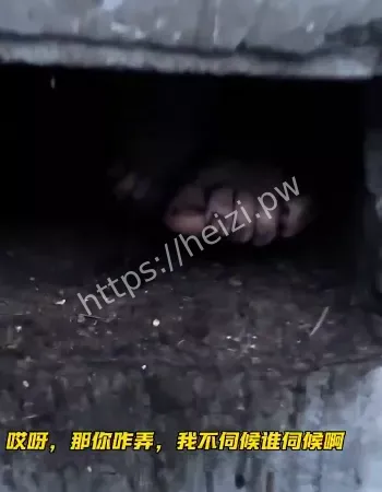 男子被困破屋三十载