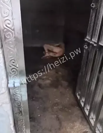 铁链锁人奇闻