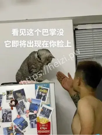 丑的精致备婚出轨