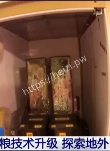 太空种粮技术再突破