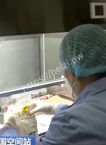中国空间站采样成功