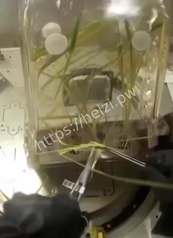 中国空间站采样成功