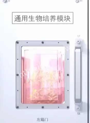 首次在轨连续培养两代