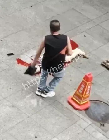 现场曝光